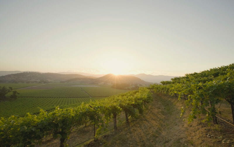 Home Vine Hill Ranch